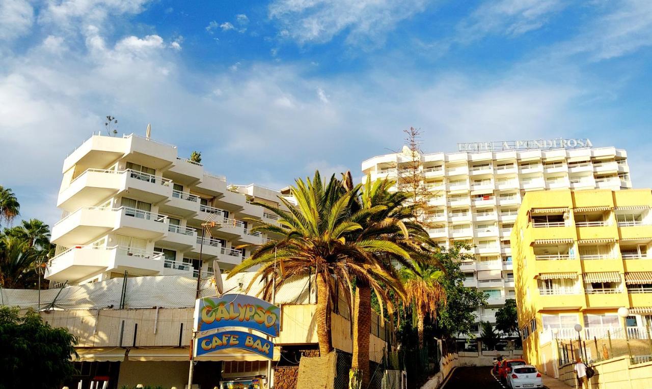 Apartmán Under The Palm Playa de las Americas  Exteriér fotografie